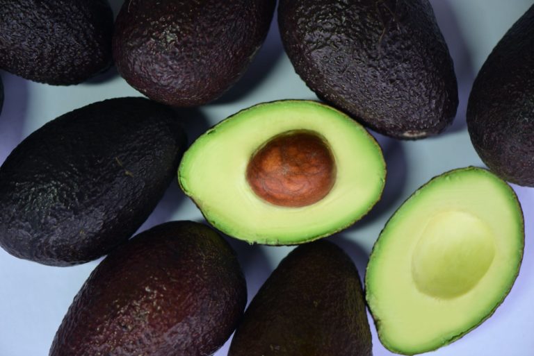 Hass Avocado Production in Kenya - Freshela Exporters