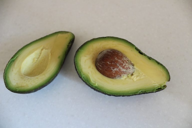 14 Surprising Facts About Kenya Avocados - Freshela Exporters