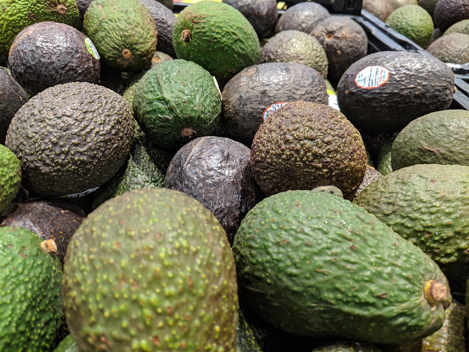 Know Avocado Varieties in Zimbabwe and When They're in Season ...