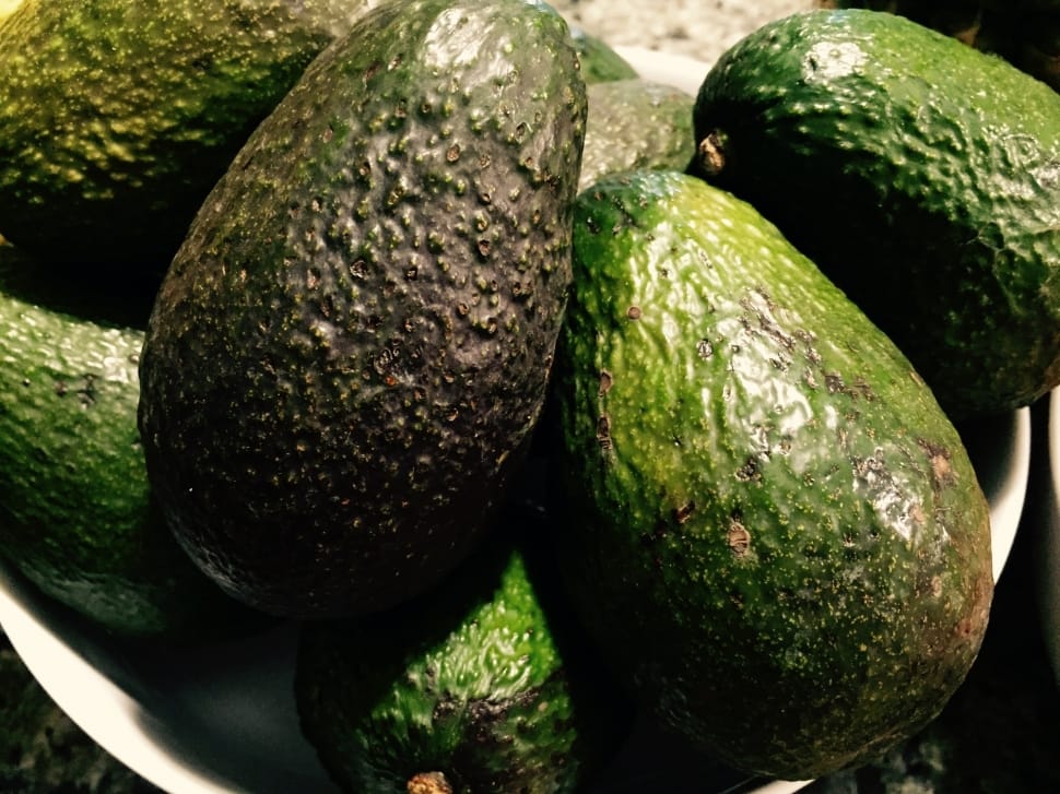 Offerte di Avocado fresco da Marocco