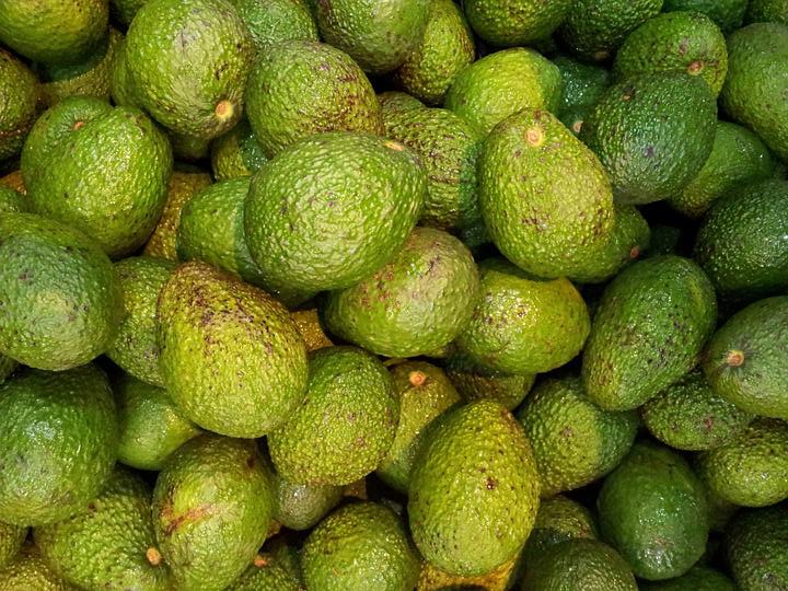 The Complete Guide to Importing Avocado in Tunisia 2024 - Freshela ...