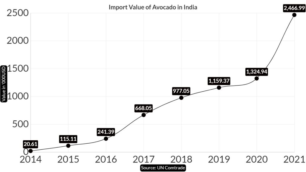 avocado-market-price-in-india-2022-prices-and-charts-freshela-exporters